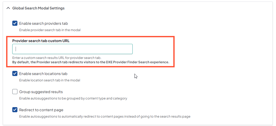 Screenshot of Provider search tab custom URL field in Theme settings