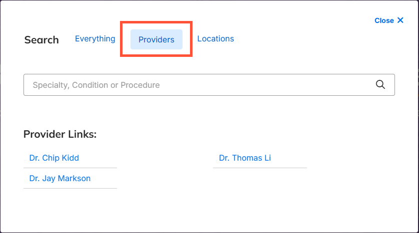 Screenshot of a sample search modal with the 'Providers' tab displayed.