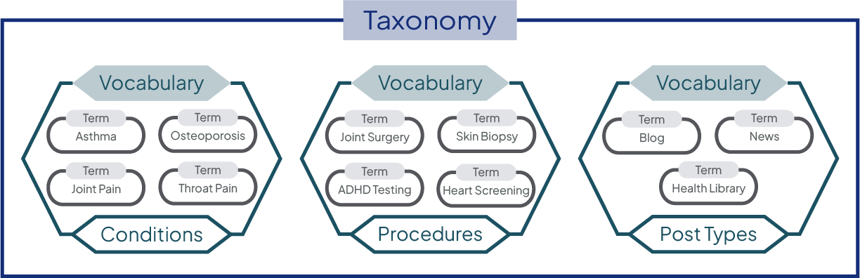 Diagram visualizing how terms, vocabularies, and taxonomy fit together