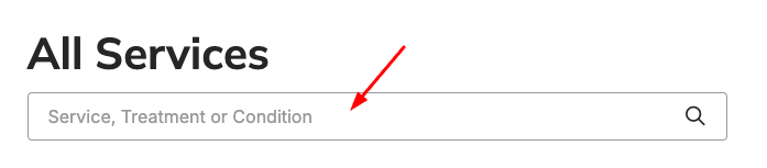 Accessible services search input