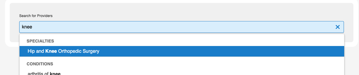 Widget search filters