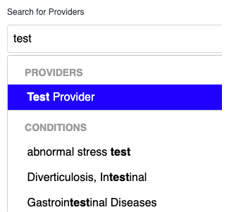 Provider search bar widget