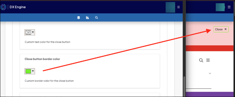 Close button border color